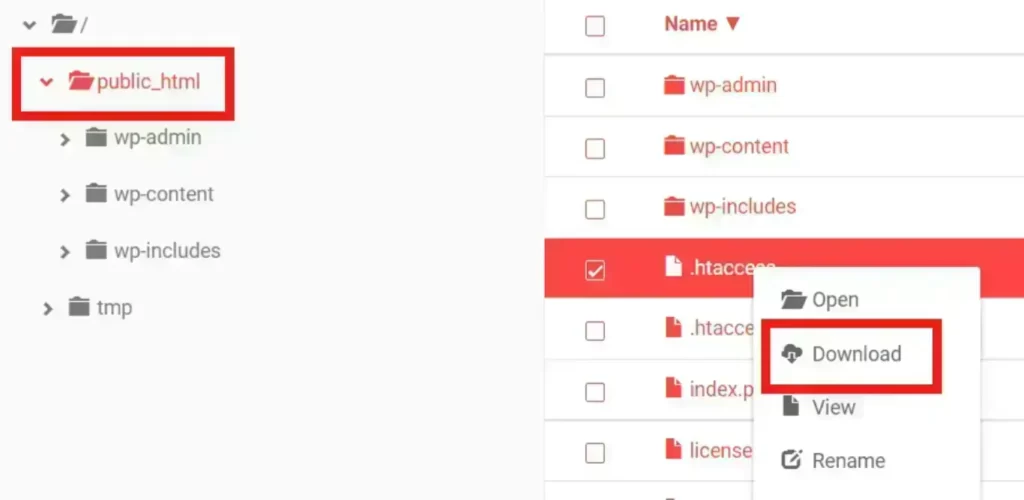 Downloading .htaccess Folder
