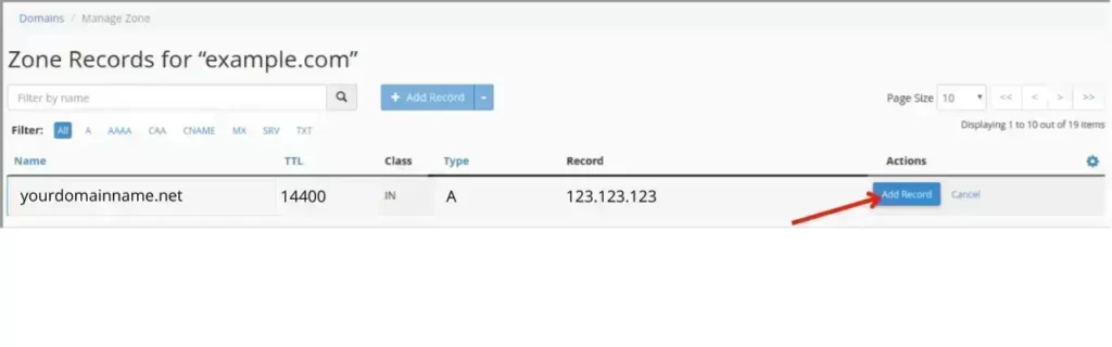 Putting Values to Add New DNS Record