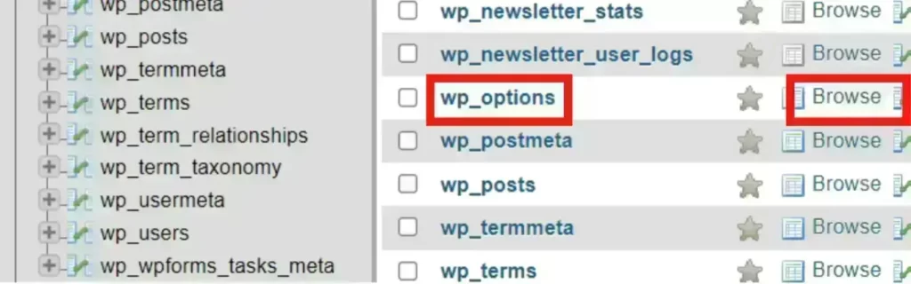 WordPress Database Browsing wp_options Table